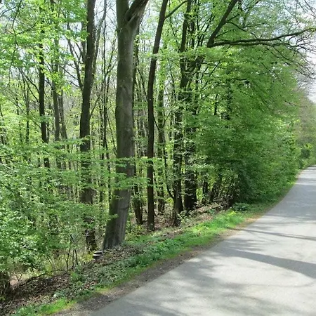 度假居 In Seelze With Swimming Pool *