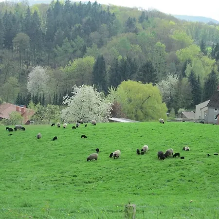 In Seelze With Swimming Pool * 希尔泽