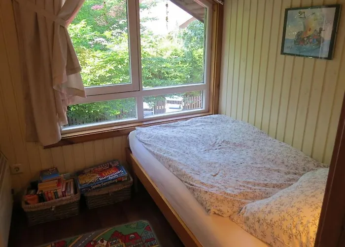 In With Swimming Pool *