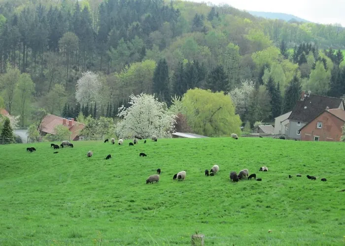 In Seelze With Swimming Pool * Seelze