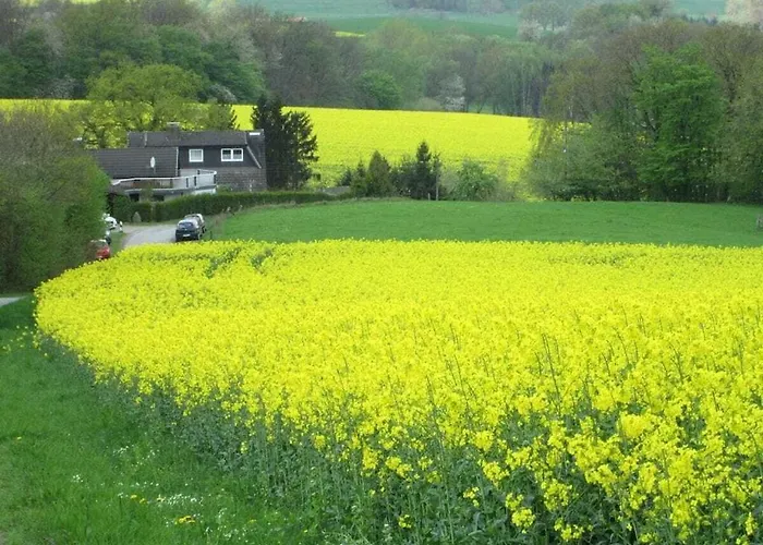 In With Swimming Pool Semesterbostad